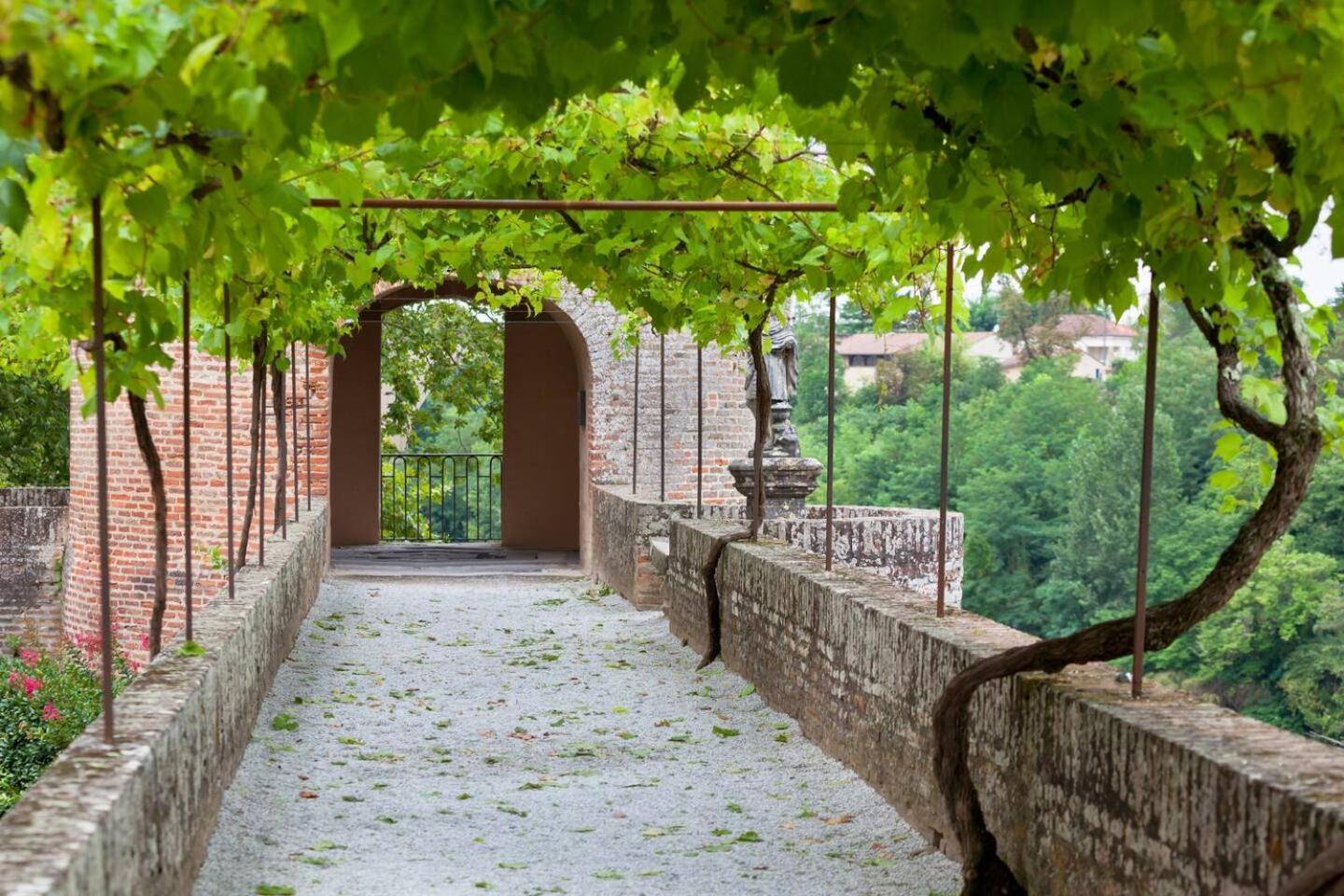 Appartement Albi Parking Gratuit Экстерьер фото